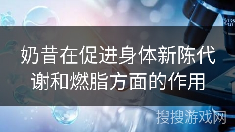 奶昔在促进身体新陈代谢和燃脂方面的作用