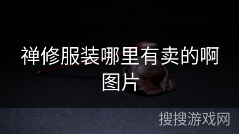 禅修服装哪里有卖的啊图片