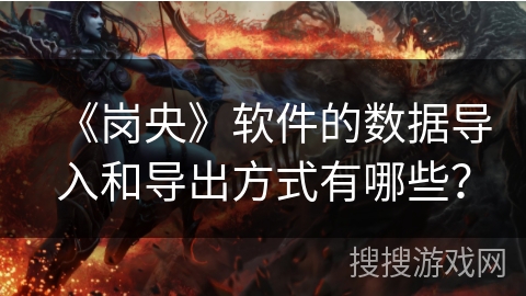 《岗央》软件的数据导入和导出方式有哪些？