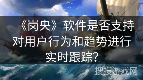 《岗央》软件是否支持对用户行为和趋势进行实时跟踪？