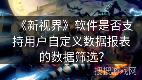 《新视界》软件是否支持用户自定义数据报表的数据筛选？