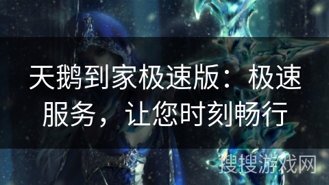 天鹅到家极速版：极速服务，让您时刻畅行