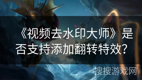 《视频去水印大师》是否支持添加翻转特效？