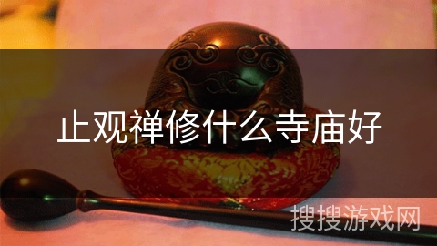 止观禅修什么寺庙好