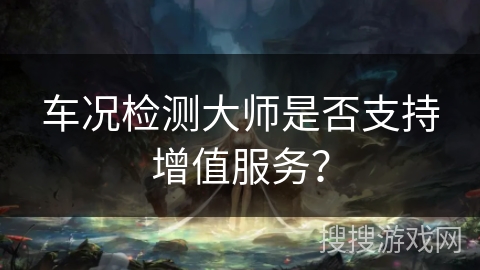 车况检测大师是否支持增值服务？