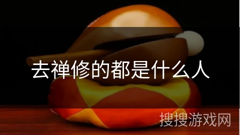 去禅修的都是什么人