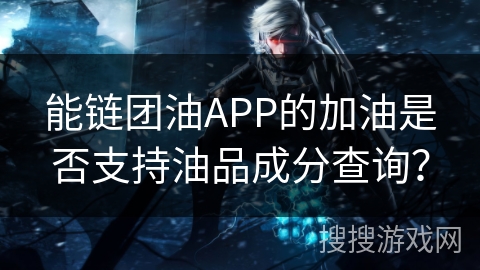 能链团油APP的加油是否支持油品成分查询？