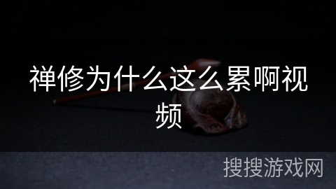 禅修为什么这么累啊视频