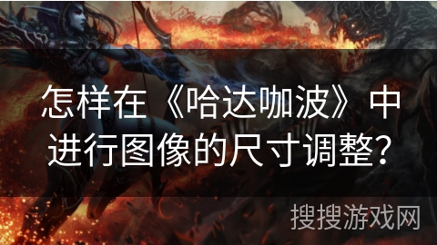 怎样在《哈达咖波》中进行图像的尺寸调整？