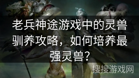 老兵神途游戏中的灵兽驯养攻略，如何培养最强灵兽？