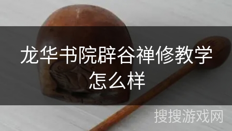 龙华书院辟谷禅修教学怎么样