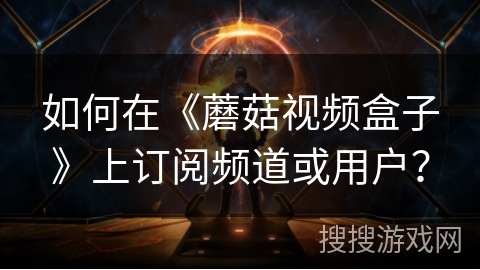 如何在《蘑菇视频盒子》上订阅频道或用户？