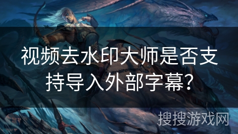 视频去水印大师是否支持导入外部字幕? 视频去水印大师是否支持导入外部字幕?