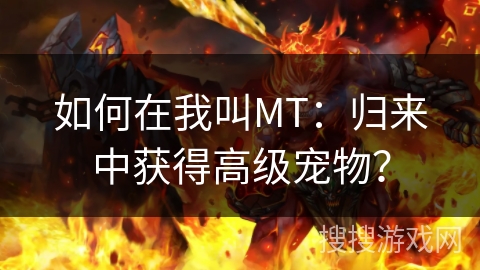 如何在我叫MT:归来中获得高级宠物? 如何在我叫MT:归来中获得高级宠物?