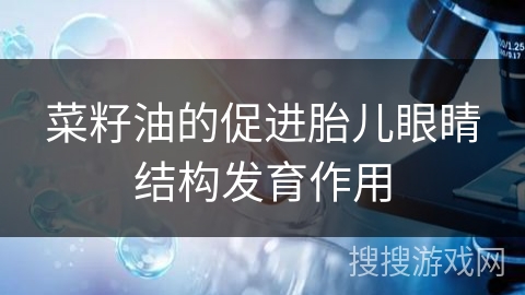 菜籽油的促进胎儿眼睛结构发育作用