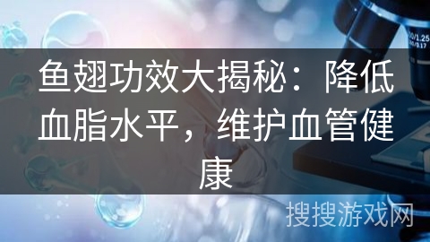 鱼翅功效大揭秘：降低血脂水平，维护血管健康
