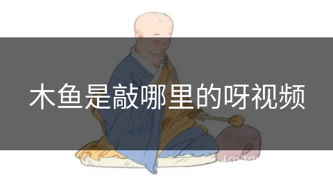 木鱼是敲哪里的呀视频 木鱼是敲哪里的呀视频