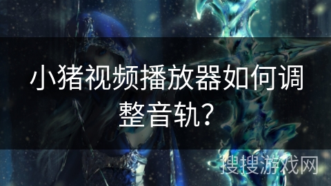 小猪视频播放器如何调整音轨? 小猪视频播放器如何调整音轨?