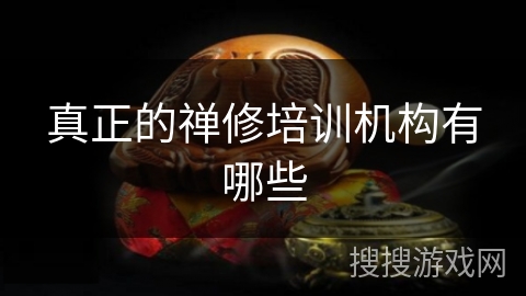 真正的禅修培训机构有哪些