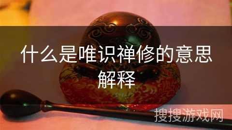 什么是唯识禅修的意思解释