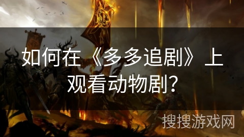 如何在《多多追剧》上观看动物剧？