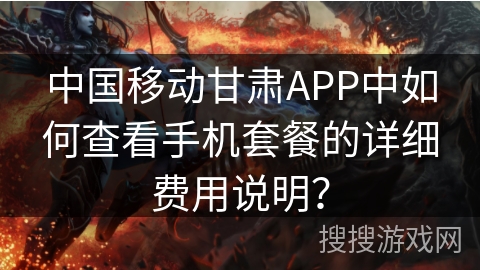 中国移动甘肃APP中如何查看手机套餐的详细费用说明？