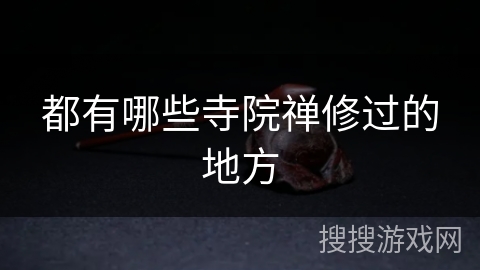 都有哪些寺院禅修过的地方 都有哪些寺院禅修过的地方