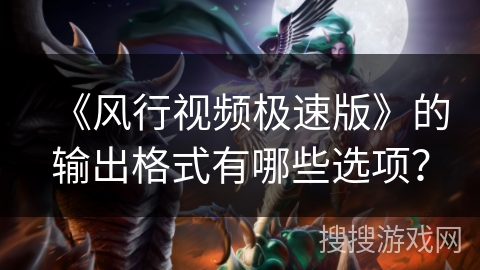 《风行视频极速版》的输出格式有哪些选项？