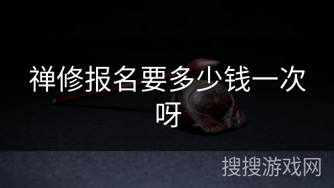 禅修报名要多少钱一次呀