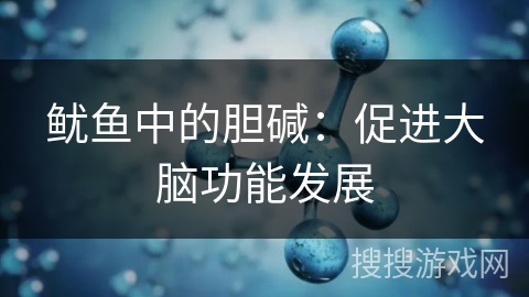 鱿鱼中的胆碱:促进大脑功能发展 鱿鱼中的胆碱:促进大脑功能发展