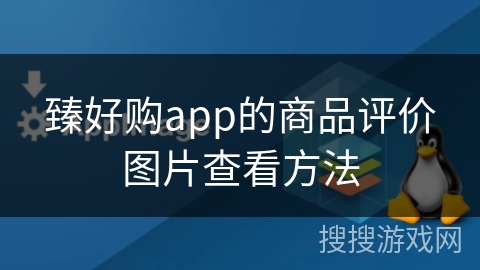 臻好购app的商品评价图片查看方法