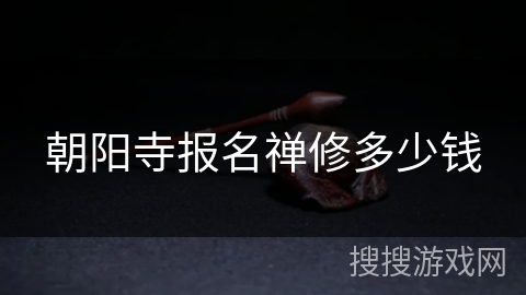 朝阳寺报名禅修多少钱