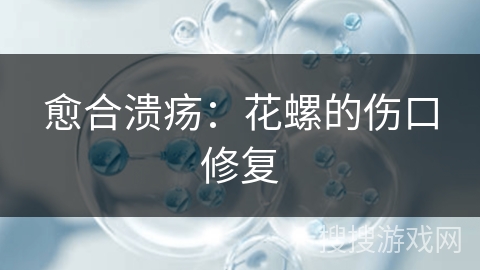 愈合溃疡：花螺的伤口修复