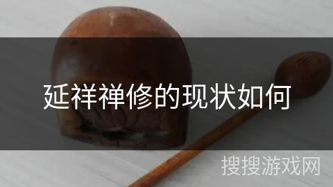 延祥禅修的现状如何