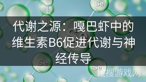 代谢之源：嘎巴虾中的维生素B6促进代谢与神经传导