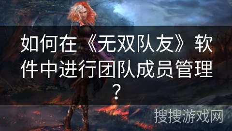 如何在《无双队友》软件中进行团队成员管理? 如何在《无双队友》软件中进行团队成员管理?