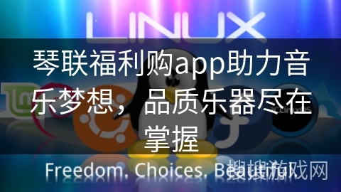 琴联福利购app助力音乐梦想,品质乐器尽在掌握 琴联福利购app助力音乐梦想,品质乐器尽在掌握