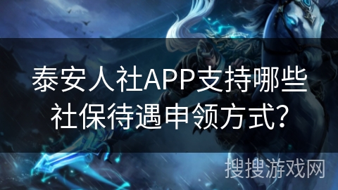 泰安人社APP支持哪些社保待遇申领方式？