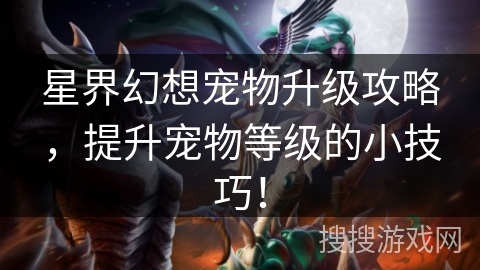 星界幻想宠物升级攻略，提升宠物等级的小技巧！