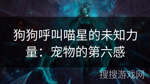 狗狗呼叫喵星的未知力量：宠物的第六感