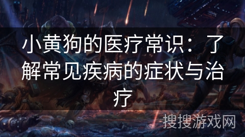 小黄狗的医疗常识：了解常见疾病的症状与治疗
