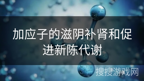 加应子的滋阴补肾和促进新陈代谢 加应子的滋阴补肾和促进新陈代谢
