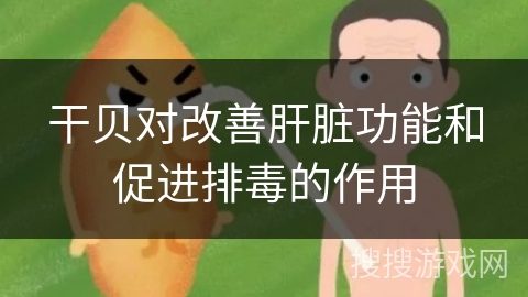 干贝对改善肝脏功能和促进排毒的作用