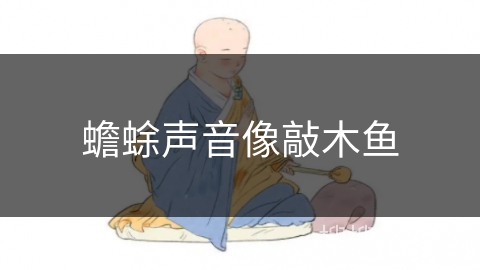 蟾蜍声音像敲木鱼