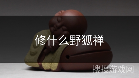 修什么野狐禅 修什么野狐禅