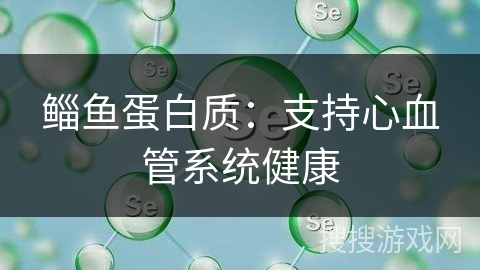 鲻鱼蛋白质：支持心血管系统健康