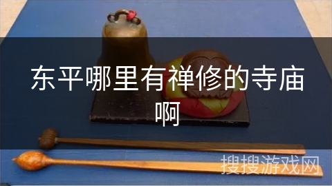 东平哪里有禅修的寺庙啊