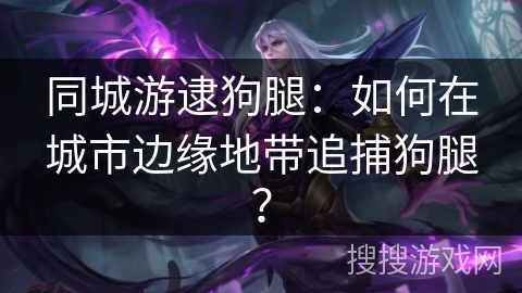 同城游逮狗腿:如何在城市边缘地带追捕狗腿? 同城游逮狗腿:如何在城市边缘地带追捕狗腿?