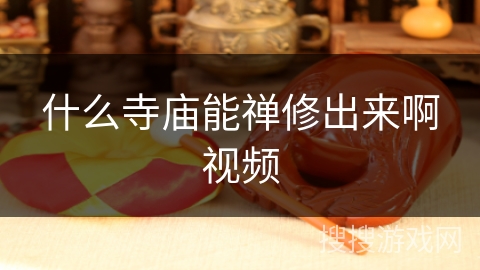 什么寺庙能禅修出来啊视频 什么寺庙能禅修出来啊视频