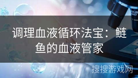 调理血液循环法宝：鲢鱼的血液管家